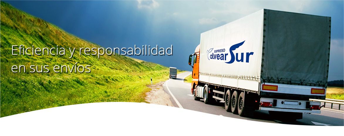 Expreso Alvear Sur - Eficiencia y responsabilidad en sus envios